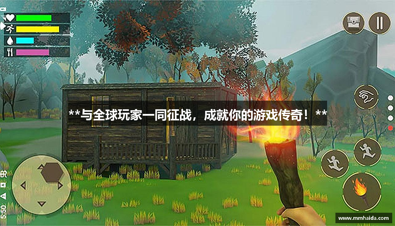 **与全球玩家一同征战，成就你的游戏传奇！**